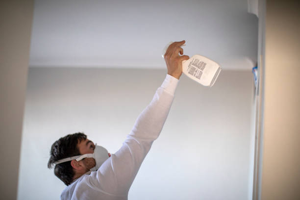 Best DIY Mold Remediation Support Services in Rockdale, IL